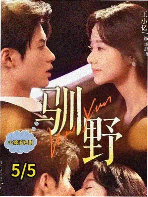 回到那年夏天 青春剧